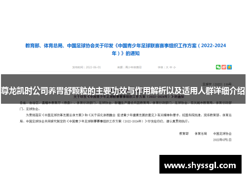 尊龙凯时公司养胃舒颗粒的主要功效与作用解析以及适用人群详细介绍